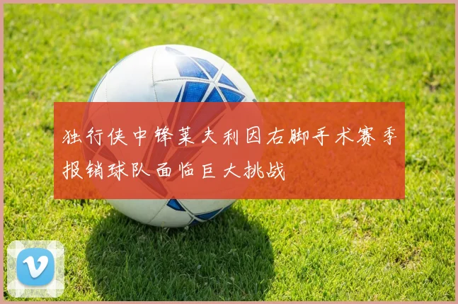 独行侠中锋莱夫利因右脚手术赛季报销球队面临巨大挑战