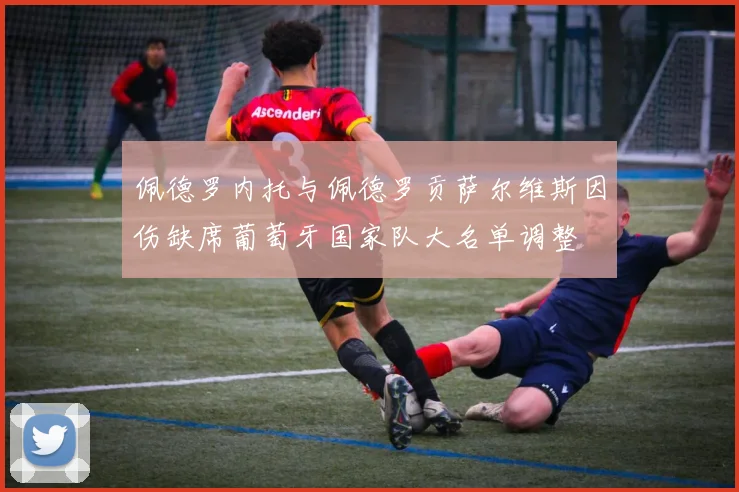 佩德罗内托与佩德罗贡萨尔维斯因伤缺席葡萄牙国家队大名单调整