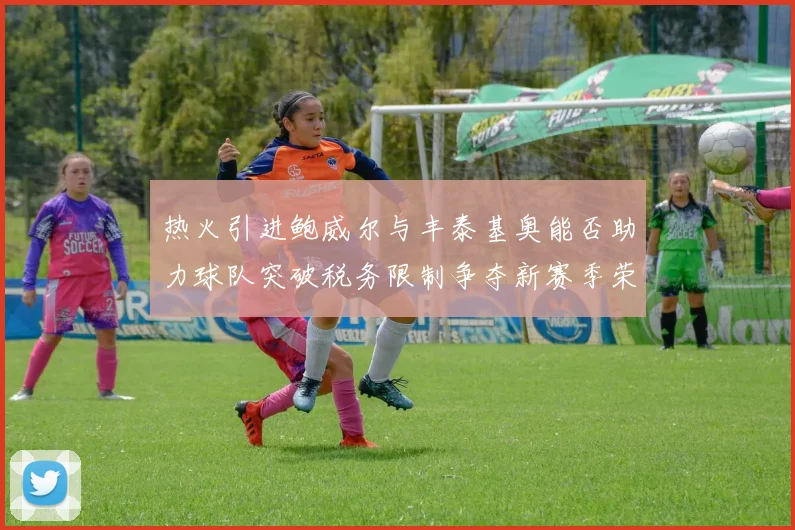 热火引进鲍威尔与丰泰基奥能否助力球队突破税务限制争夺新赛季荣誉